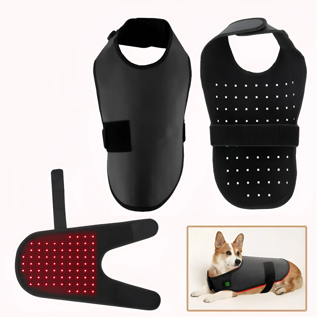 Infrared Red Light Therapy for Dogs and Cat at Home