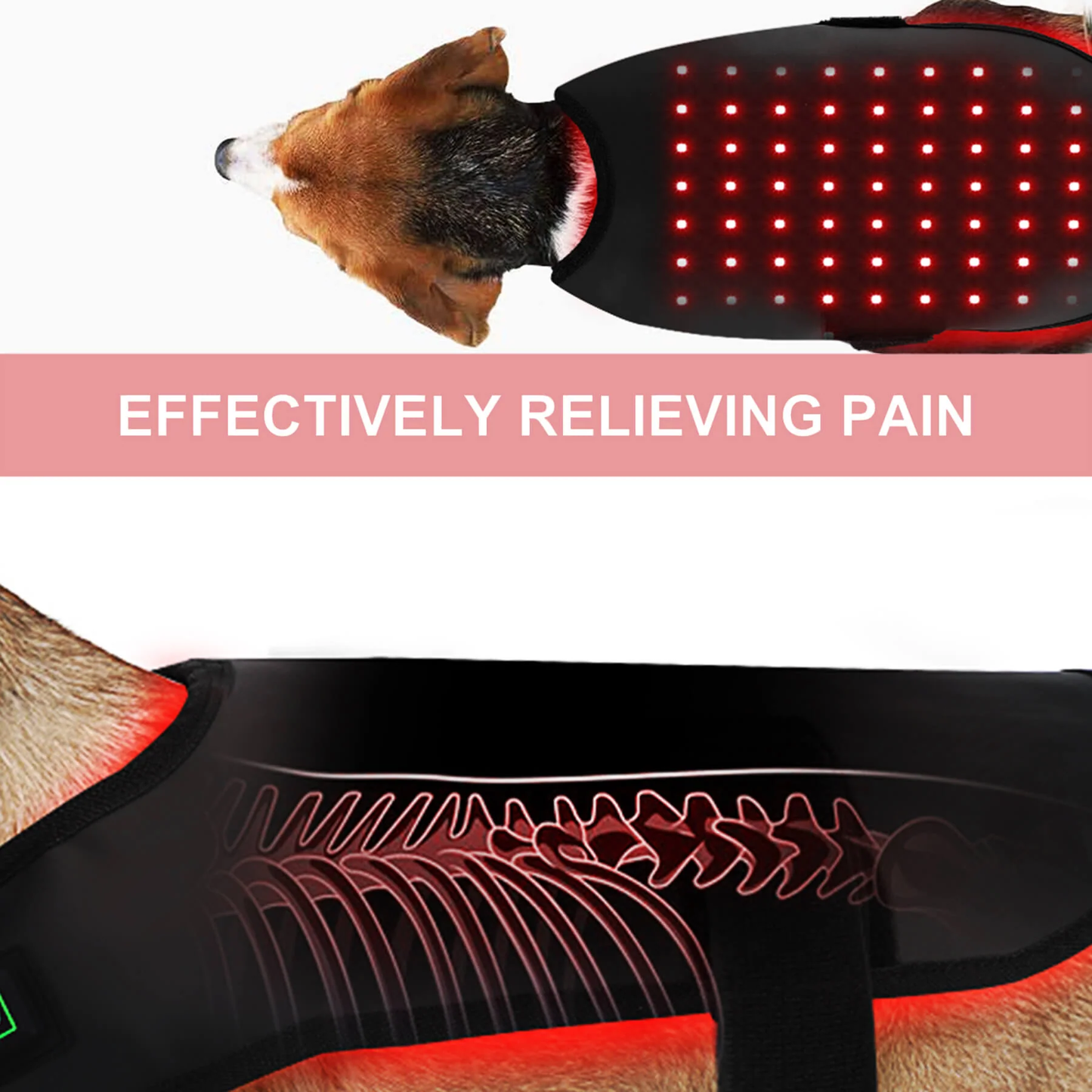 Infrared Red Light Therapy for Dogs and Cat at Home