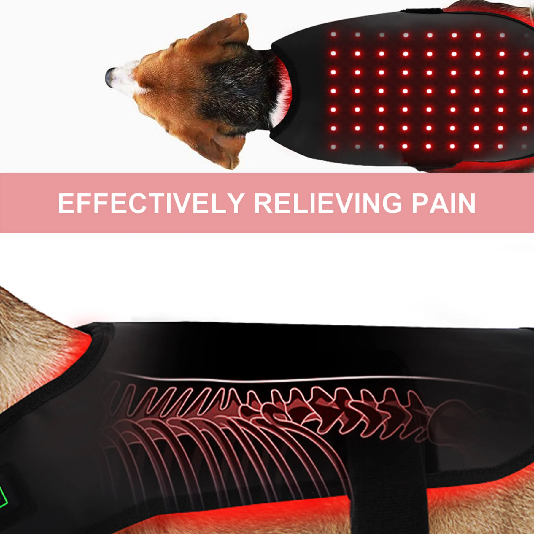 Infrared Red Light Therapy for Dogs and Cat at Home